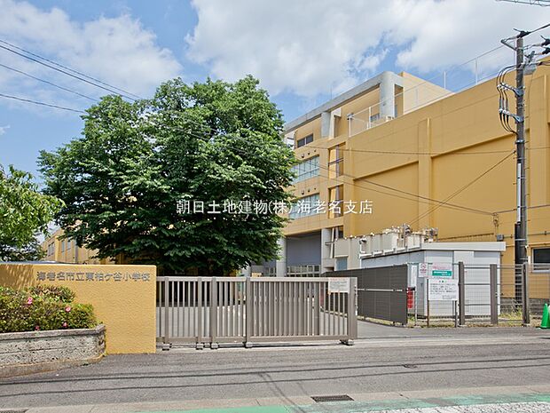 【海老名市立東柏ケ谷小学校】230ｍ　校舎が3舎も有り海老名市ではかなり大きな小学校です。体育館も校庭も大きいです。