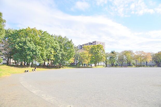 広々としたグラウンドがあり、遊具があり、くるっとお散歩できる道もあり、老若男女、ワンコ、みなさんの憩いの場所です。