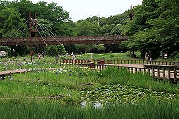無料駐車場が有り、広大な公園内は良く整備されています。遊具は少ないですがお子様連れで自然の中を歩くのも良さそうです。
