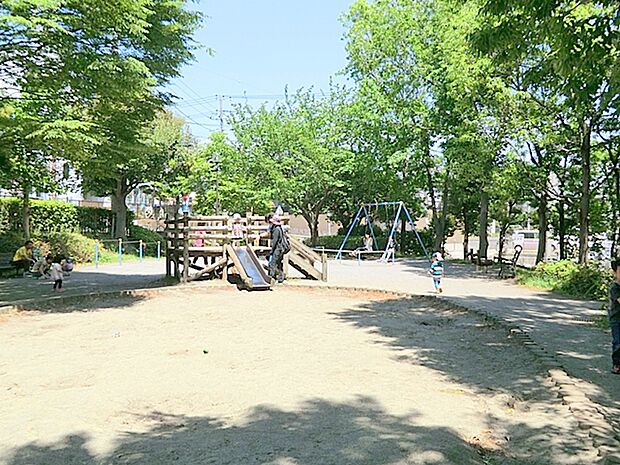 【千津ふれあい公園】1300m 新緑の季節のピクニック、レジャーシートを敷いて木陰に寝そべれます。