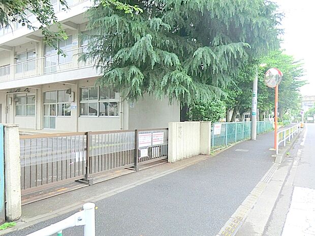【桜台小学校】100m 学校の周りに桜の木が沢山植えてあり、春になると他の小学校には無い景色が印象的です。