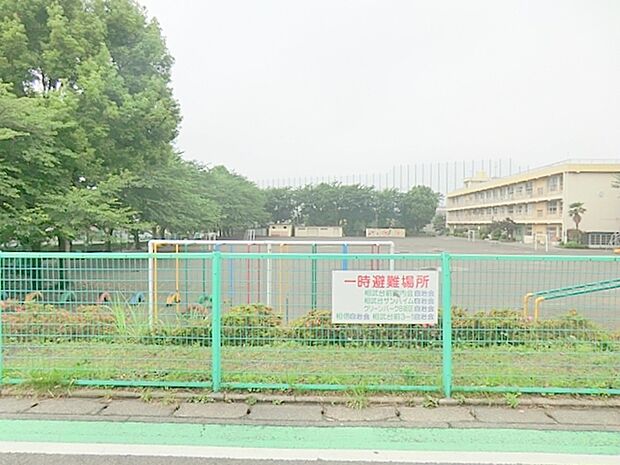 学校周辺には緑が多いです。行事に力を入れている学校です。