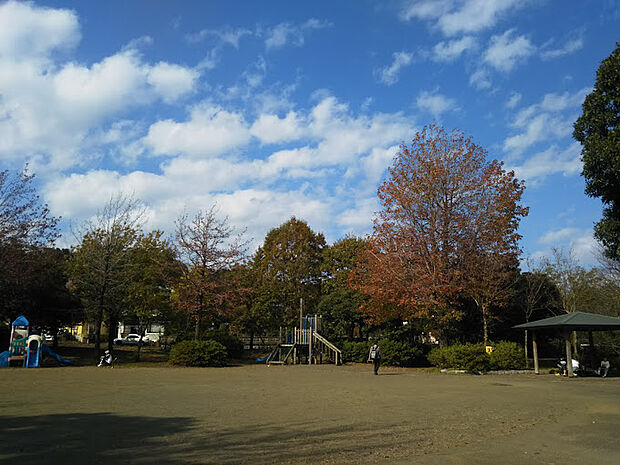 住宅街にある、ケヤキやシラカシが並ぶ、自然を感じられる落ち着いた雰囲気の公園です。