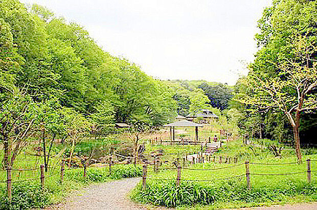 谷戸山公園