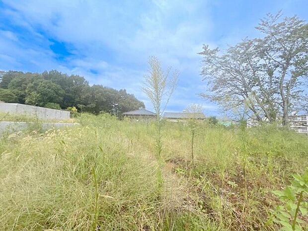 土地49.8坪、多彩なプランが可能な広さ