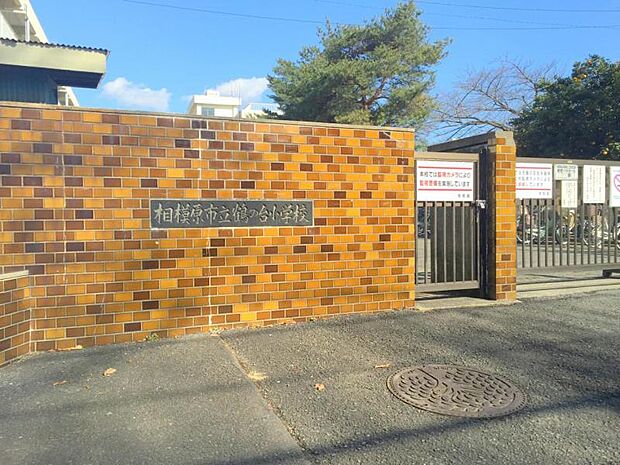 【鶴の台小学校】520m 校庭が広い小学校です。 線路沿いにあり、桜並木があり、春の桜が咲く時期はとても綺麗です。