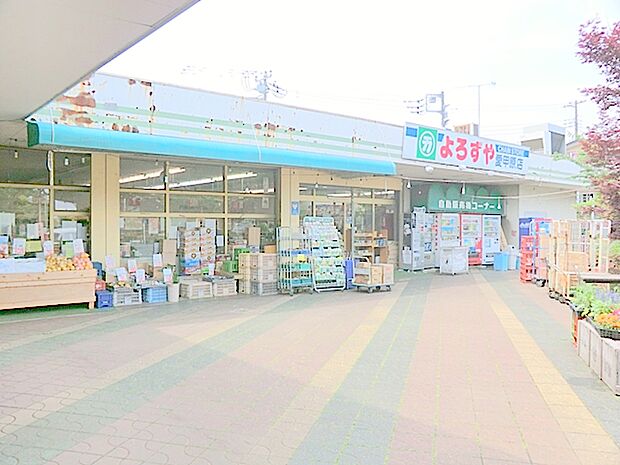 【よろずや 愛甲原店】530m 地元野菜や魚介がいいです。お惣菜やお弁当もおすすめです。