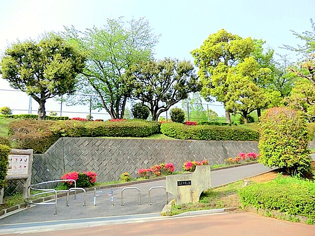 【鳶尾中央公園】1000m 野球場とテニスコートがあります。地元に愛されている公園です。