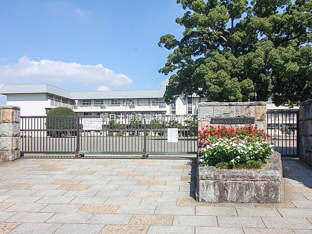 【相模原市立新磯小学校】1070m 校庭の真ん中にあるくすの木がシンボルの小学校です。