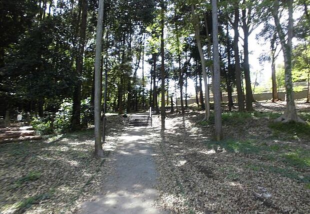 【寺尾緑地】460m 緑が豊富で夏は涼しく感じられます。