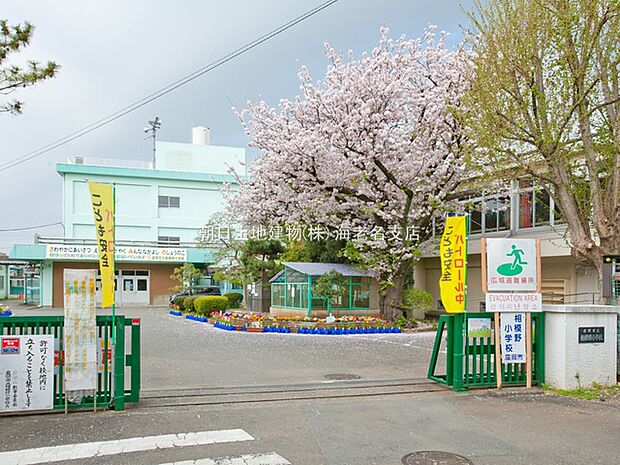 【座間市立相模野小学校】740m 周りは住宅街で人の目も多く車がたくさん通るような道ではないので、安全です。校庭も広々しています。
