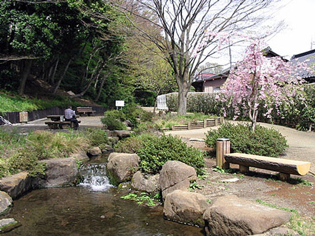 【亀島自然公園】600m 住宅地の中にある公園で、園内には、小川が流れていたり、池(湧水池)があったり、林の斜面に遊歩道が作られていたりと自然を生かした公園になっています。
