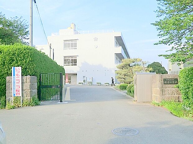 【伊勢原市立桜台小学校】690m 生徒数は多い方だと思います。学校の周りにたくさんの桜の木があるので春になるととても綺麗です。