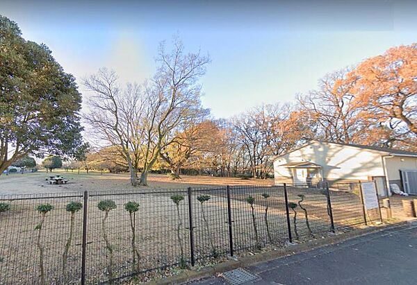 【史跡勝坂遺跡公園】1250ｍ　遊具はありませんが、開放的な草はらと縄文の復原住居等があります。駐車場もあります。河津桜もきれいです。