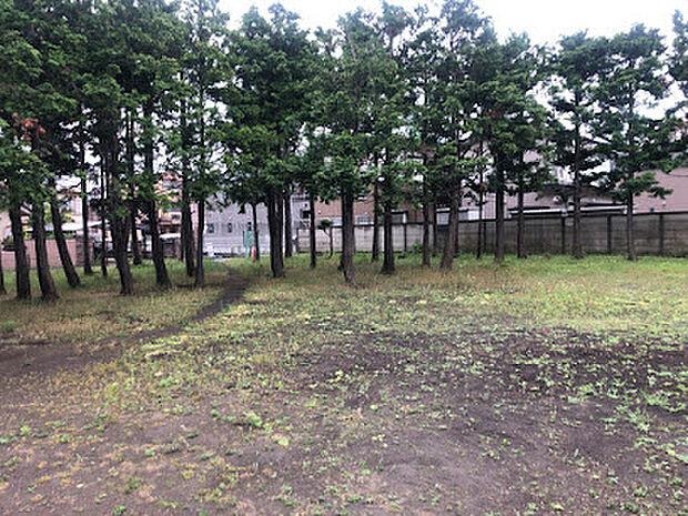 【緑の広場11号】1500ｍ　緑が多い公園です。遊具などもないため、お散歩にもちょうどいいです。
