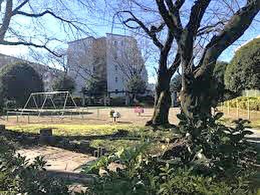 【入谷くつがた公園】800ｍ　田園が広がる位置に整備された公園です。比較的大きな木が植えられていて、木陰も多く、春には桜の大きな木が満開になります。