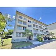 仙台中山団地２号棟 2階 築48年1ヶ月の賃貸物件