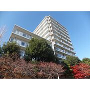 カスタリア榴ヶ岡 12階 築16年10ヶ月の賃貸物件