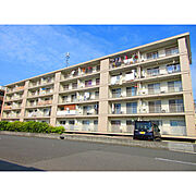 パークグリーン中島501. 2階 築54年の賃貸物件