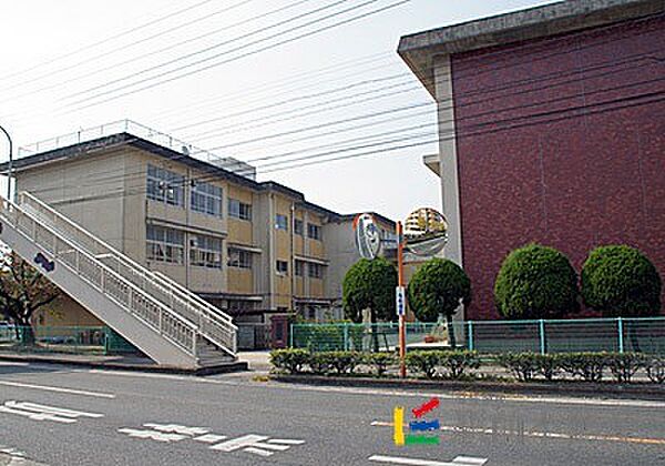 画像3:鍋島小学校 