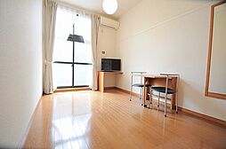 カメリア3 1Kの写真