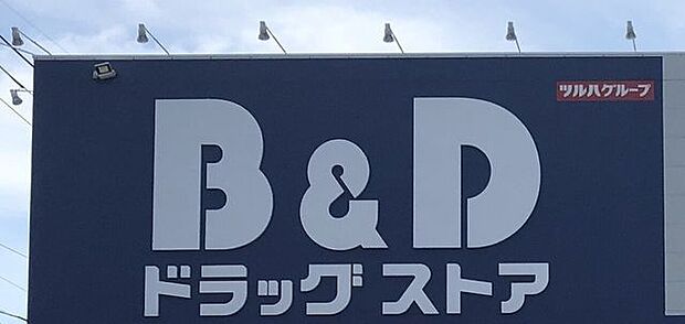 B&Dドラッグストア 豊田若林店 2100m