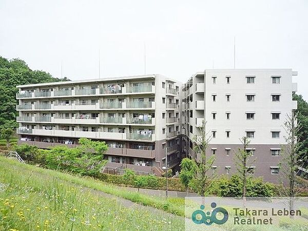 周囲の風景と美しく調和した外観は、主張しすぎず、それでいて印象に残る佇まい。住むほどに愛着が深まる、落ち着きあるデザインです。