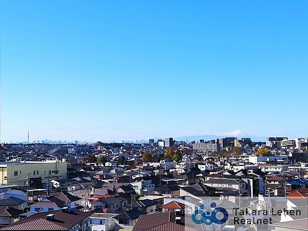 お天気がいい日には富士山やスカイツリー、夏場は隅田川花火大会が望めます。