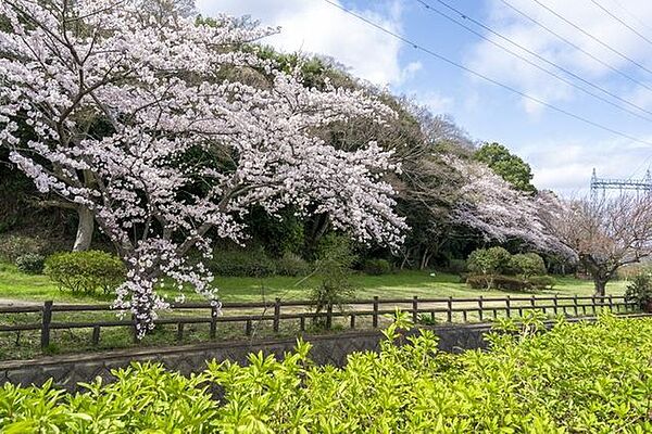 花輪城趾公園 徒歩21分。 1630m