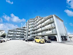 セントエルモ南柏