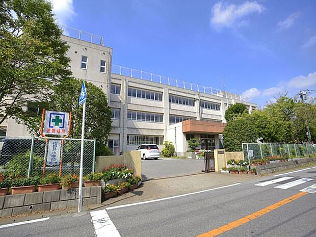 小学校 500m 柏市立花野井小学校