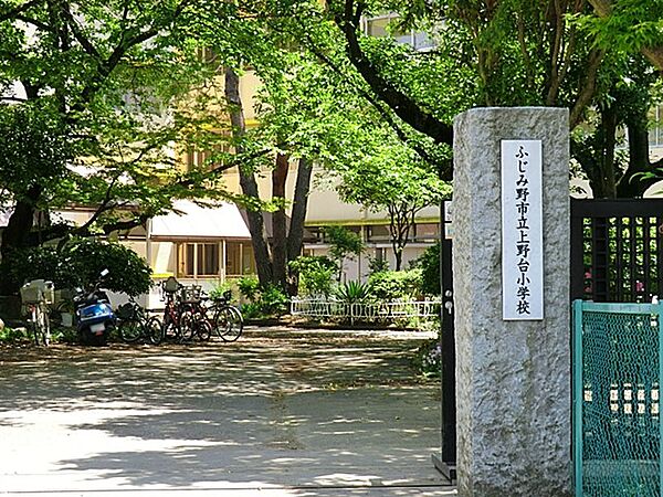 apartment 埼玉県ふじみ野市上福岡１丁目
地図を見る