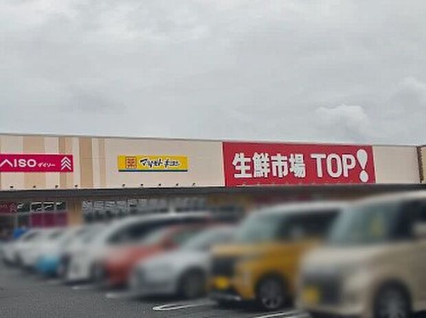 スーパー 800m 生鮮市場TOP (旧マミーマート) 松戸新田店
