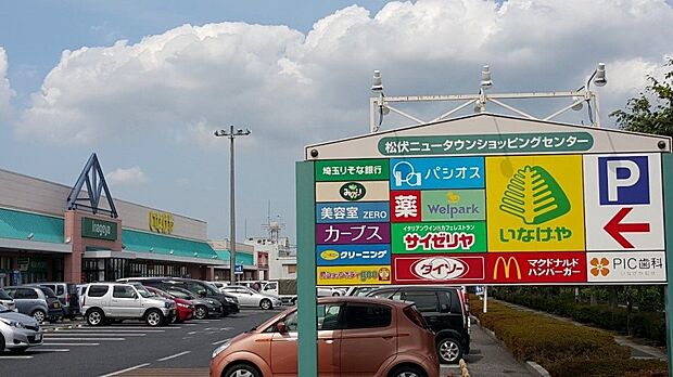 ショッピングセンター 500m 松伏ニュータウンショッピングセンター
