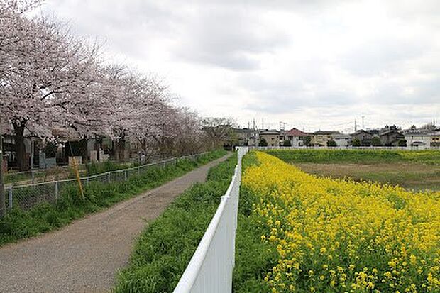 公園 130m 大谷口公園