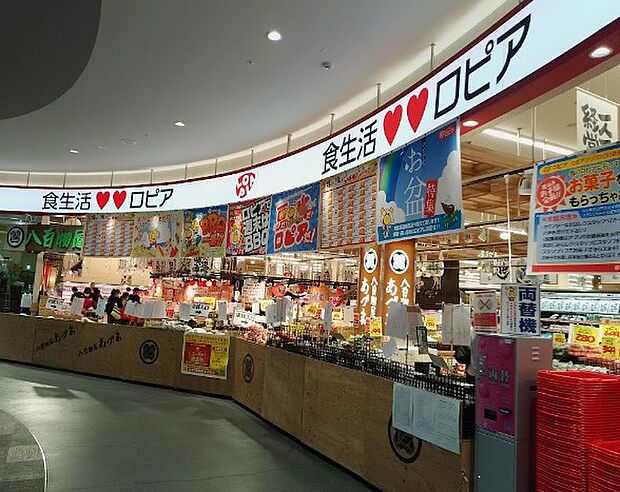 スーパー 900m ロピア 所沢島忠ホームズ店