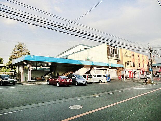 駅 800m JR宇都宮線白岡駅