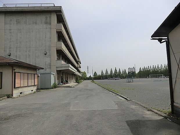 中学校 960m 白岡町立南中学校