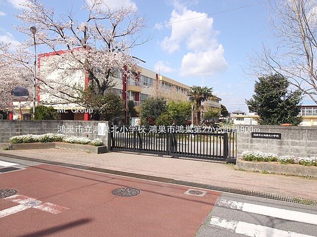 小学校 900m 鴻巣市立鴻巣北小学校