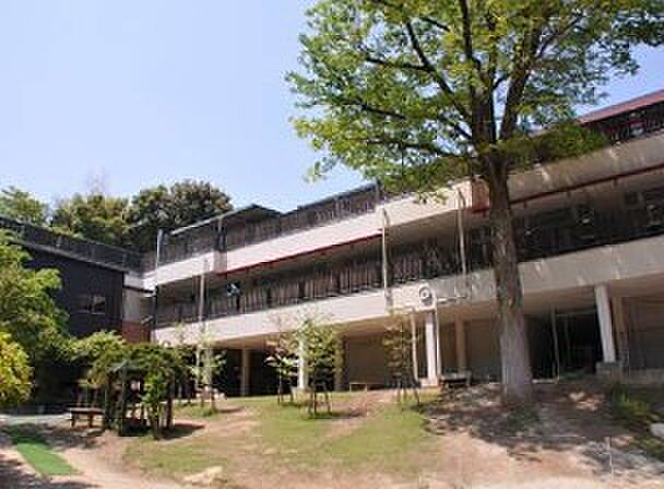 幼稚園・保育園 1300m 根岸幼稚園