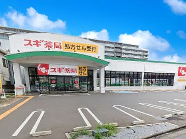ドラッグストア 500m スギ薬局 川口末広店