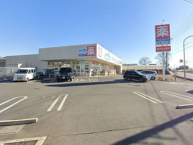 ドラッグストア 500m ウエルシア富士見渡戸店
