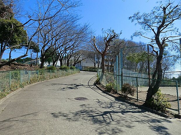 小学校 600m 松戸市立河原塚小学校