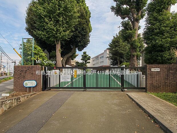 小学校 880m 柏市立富勢小学校