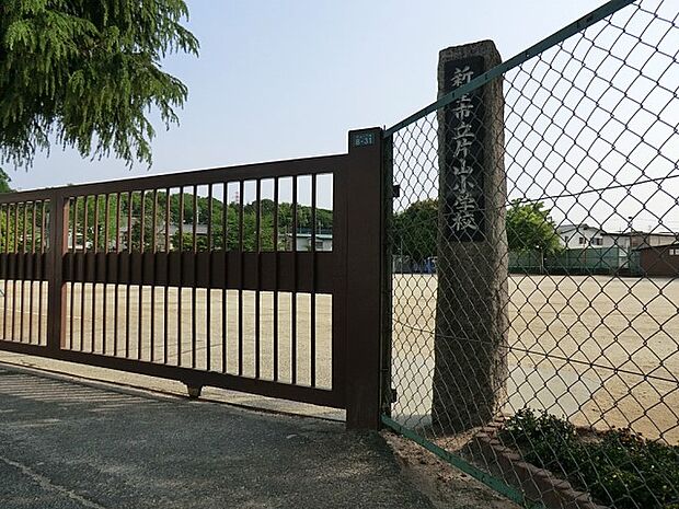 小学校 700m 新座市立片山小学校