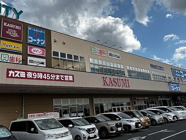 ショッピングセンター 170m ピアシティ柏中新宿