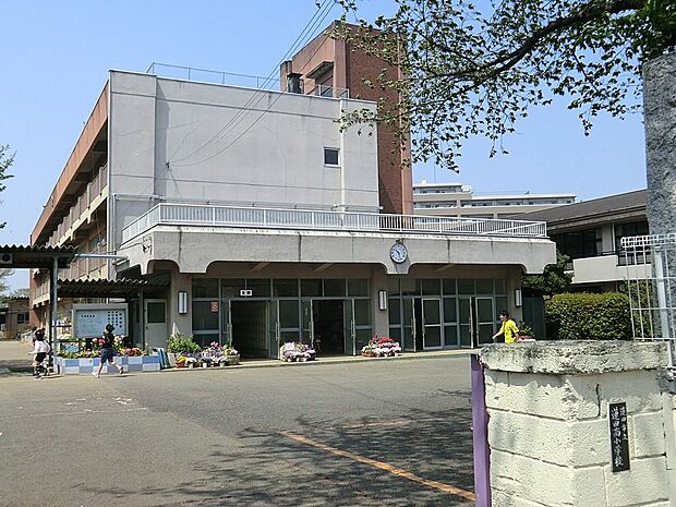 小学校 400m 蓮田市立蓮田南小学校