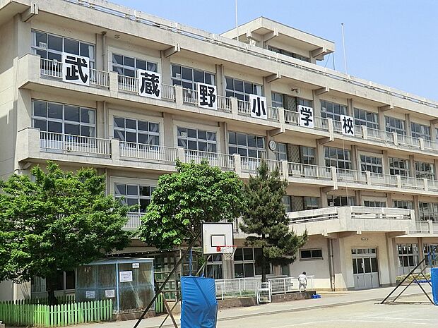 小学校 1300m 川越市立武蔵野小学校