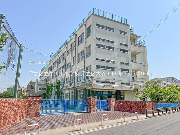 小学校 160m 足立区立中川東小学校