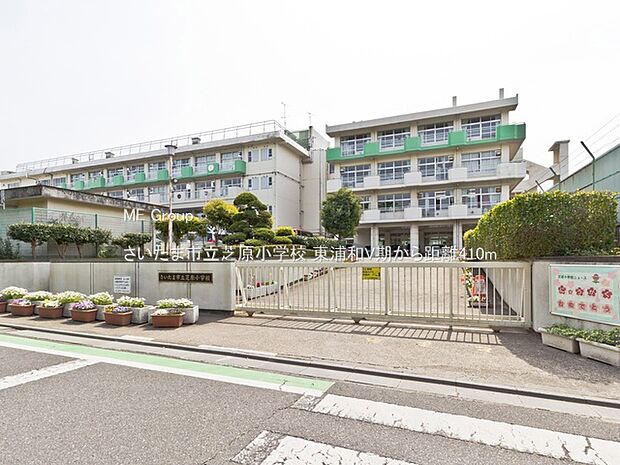 小学校 410m さいたま市立芝原小学校